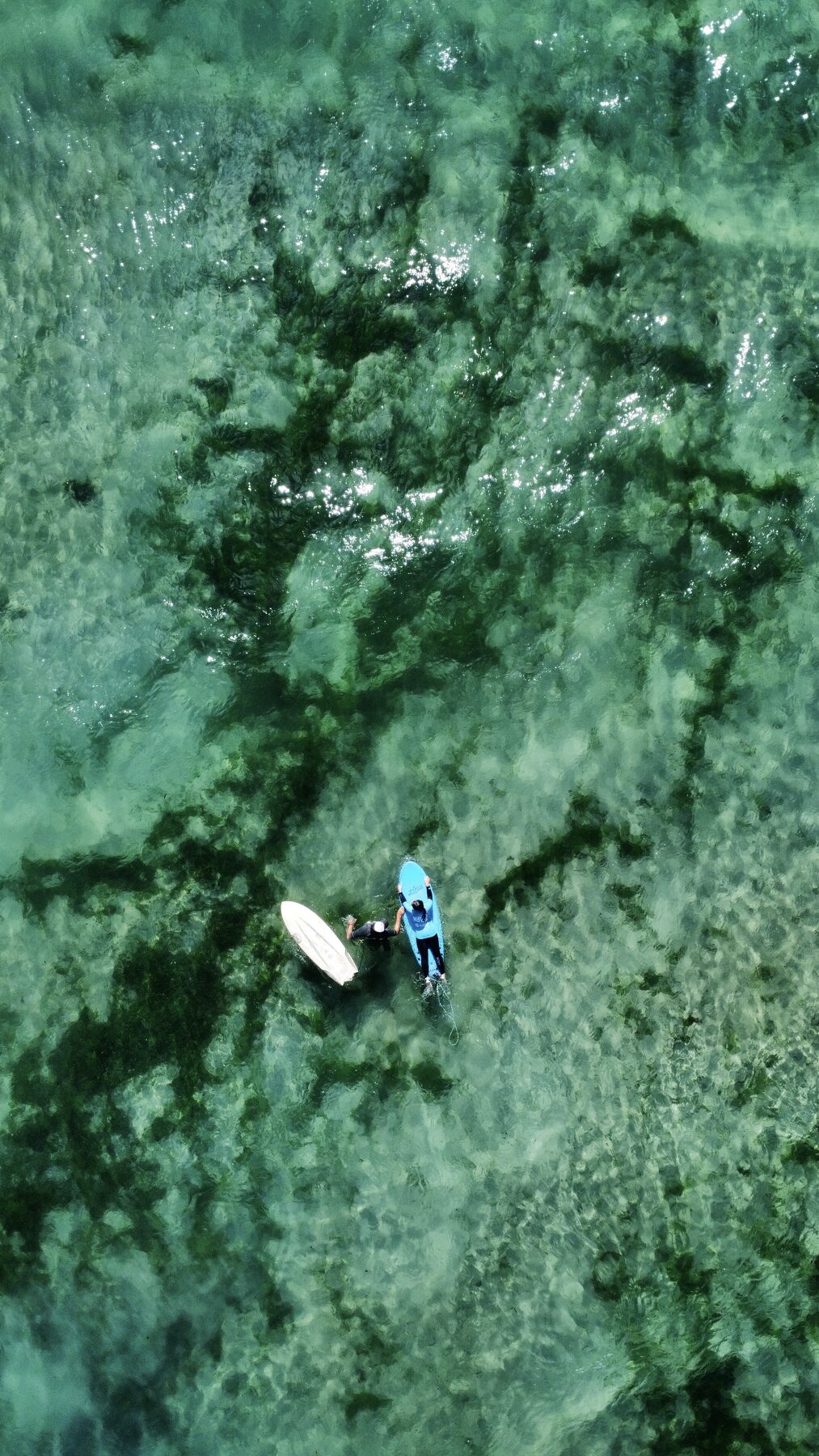 Aerial view of a surfer paddling out at One Mile Beach, Port Stephens NSW