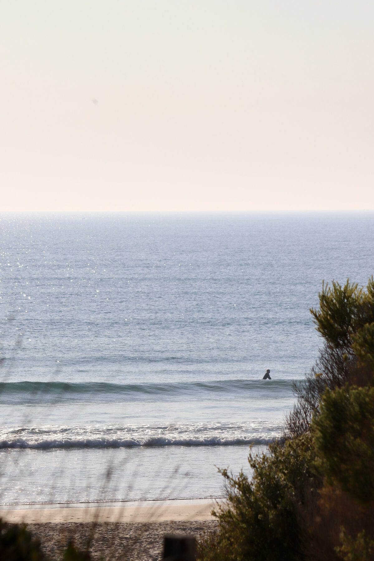 Private Tours at Port Stephens Surf School — A day out with Luke